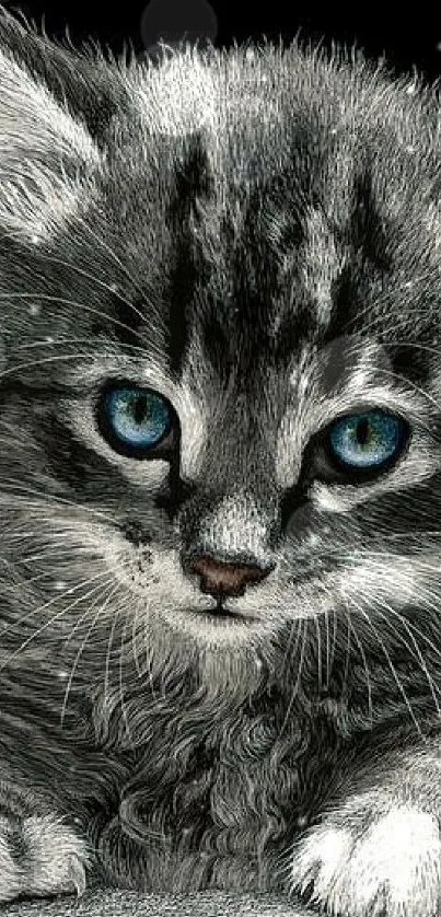 Adorable gray kitten with blue eyes on black background.