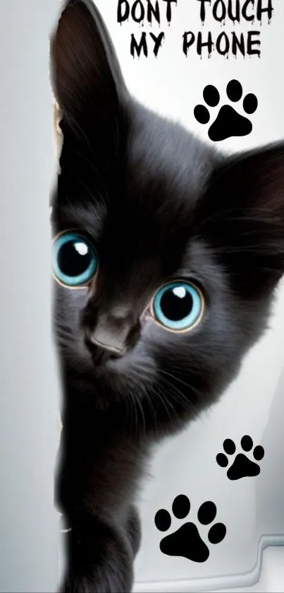 Adorable black kitten peeking from behind a white wall.