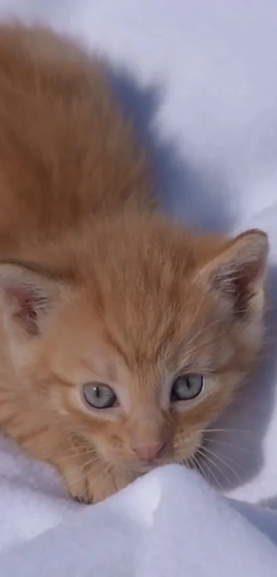 Cute ginger kitten lying on a white blanket, perfect for mobile wallpaper.