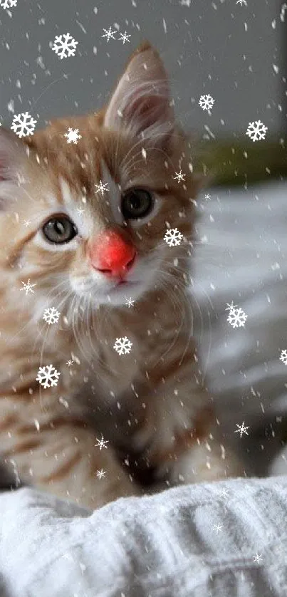 Cute kitten with pink nose sitting in snowfall on a cozy blanket.