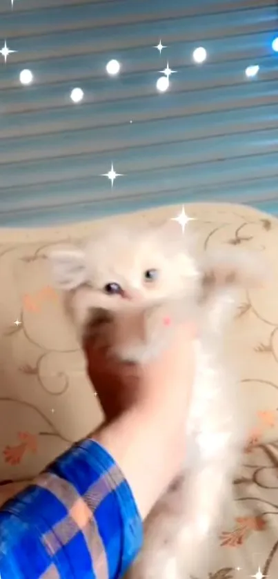 A fluffy white kitten being held, with sparkles in the background.