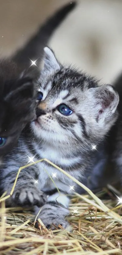 Three adorable kittens on a haystack.