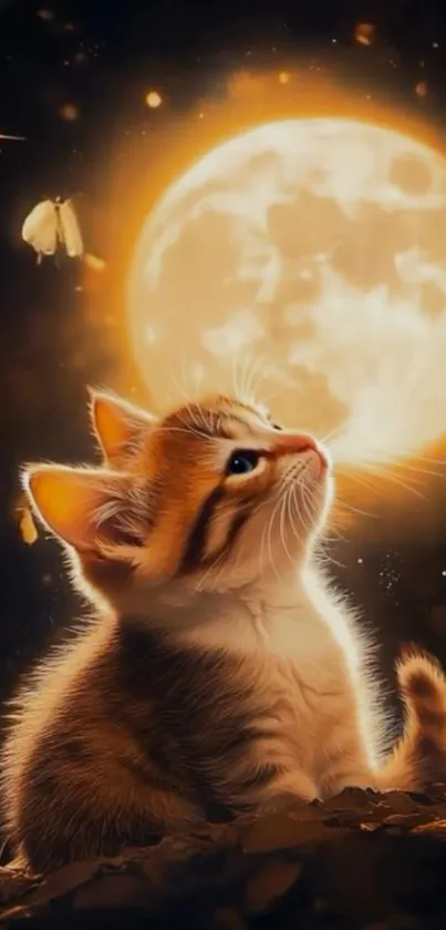 Cute kitten gazing at full moon with butterflies around.