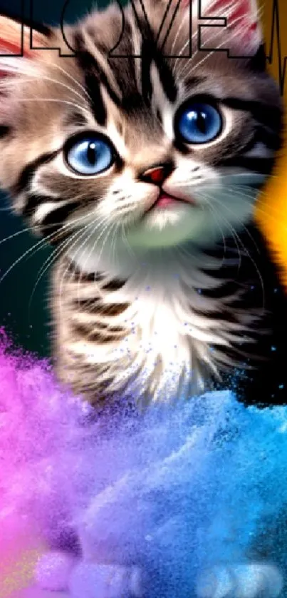 Cute kitten with blue eyes on colorful background.