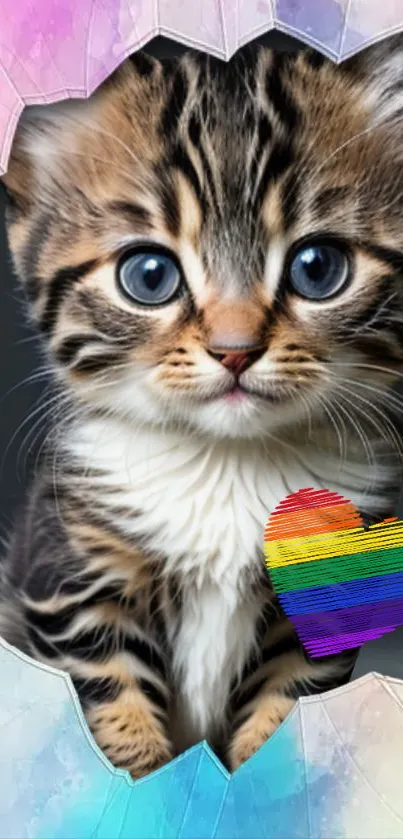 Adorable kitten with blue eyes and a rainbow heart design background.