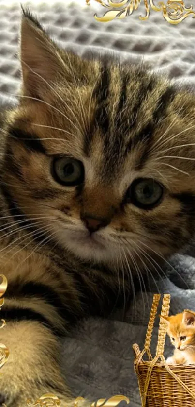 Adorable tabby kitten with golden accents in a decorative mobile wallpaper.