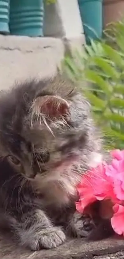 Fluffy grey kitten with pink flower outdoors.