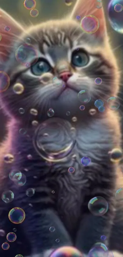 Cute kitten with colorful bubbles wallpaper.