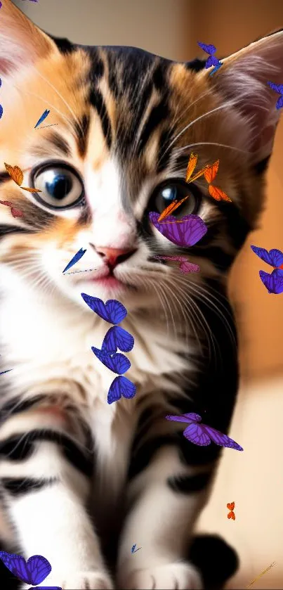 Cute kitten surrounded by colorful butterflies.