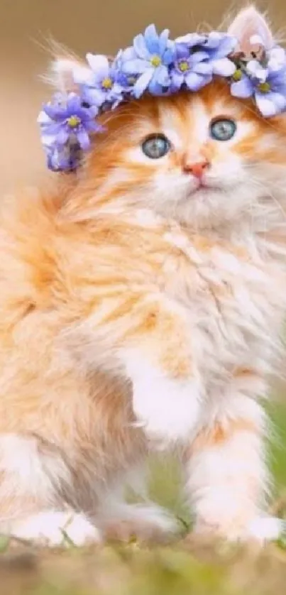 Adorable orange kitten with purple flower crown.