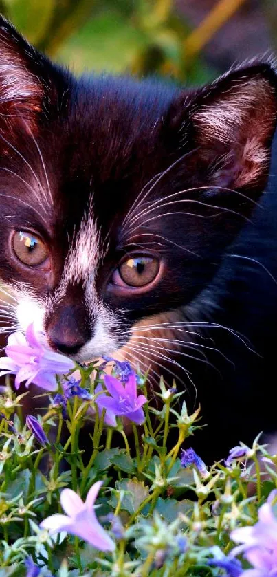 Cute kitten sniffing purple flowers in a garden setting.