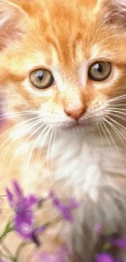 Ginger kitten with purple flowers wallpaper.