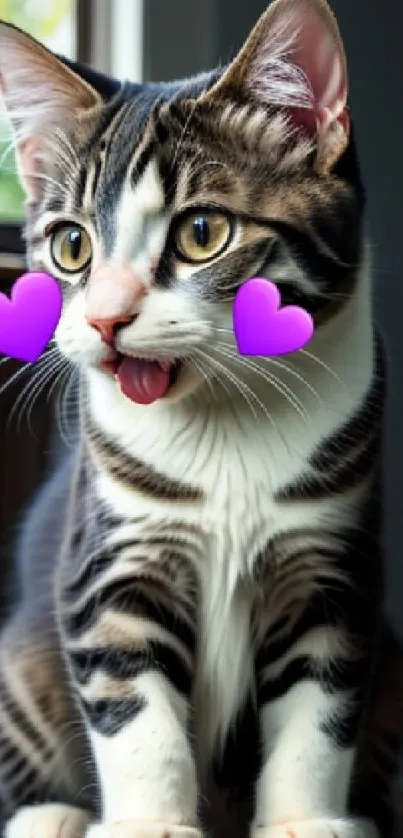 Adorable striped kitten with purple hearts on cheeks, sitting indoors.