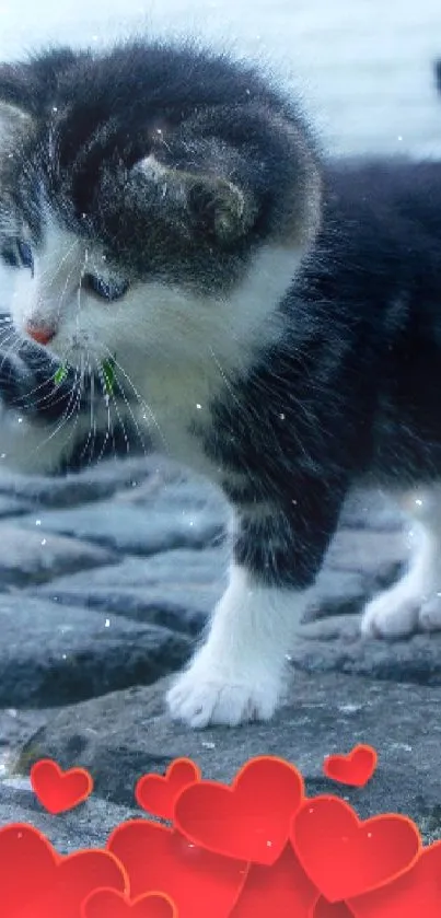 Adorable kitten playing with a flower surrounded by red hearts.