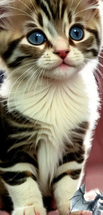 Charming kitten with blue eyes and a tiny bat on a light pink background.