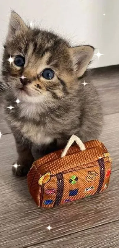 Cute kitten beside a small suitcase on a wooden floor.