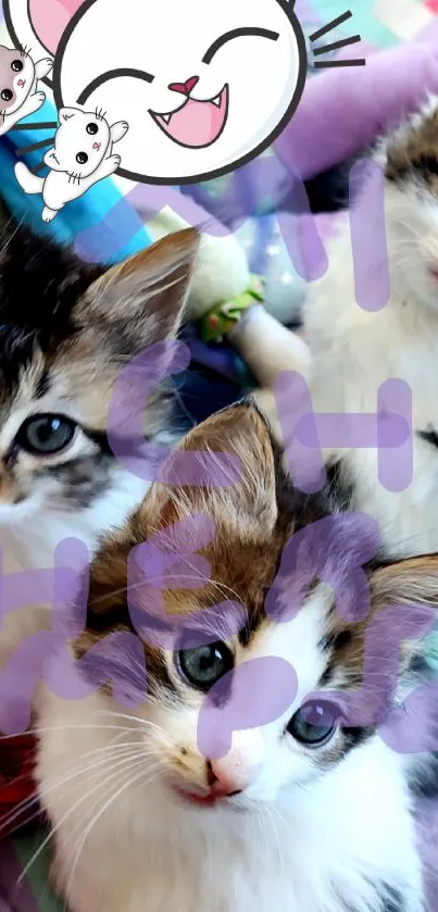 Cartoon-themed wallpaper with adorable kittens and lavender text overlay.