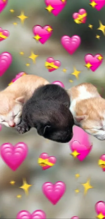 Cute kittens surrounded by pink hearts wallpaper.