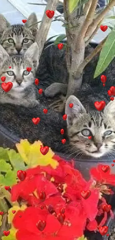 Four kittens nestled in a garden pot with surrounding flowers.