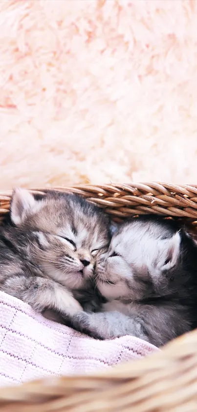 Two adorable kittens snuggling in a woven basket.