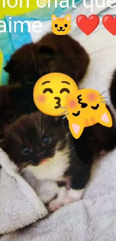 Cute kittens with emojis on a soft blanket.