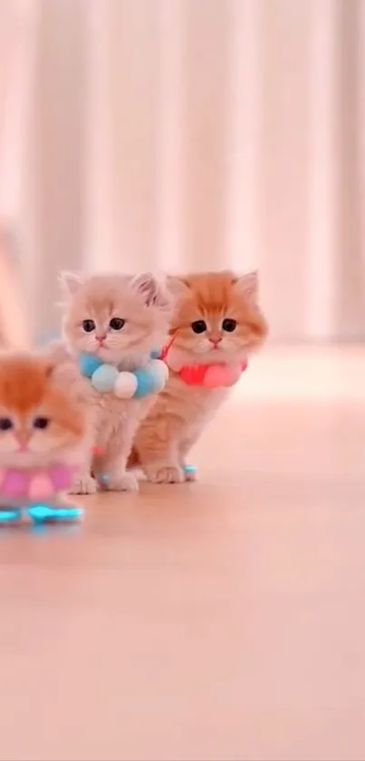 Adorable kittens with pastel collars on floor.