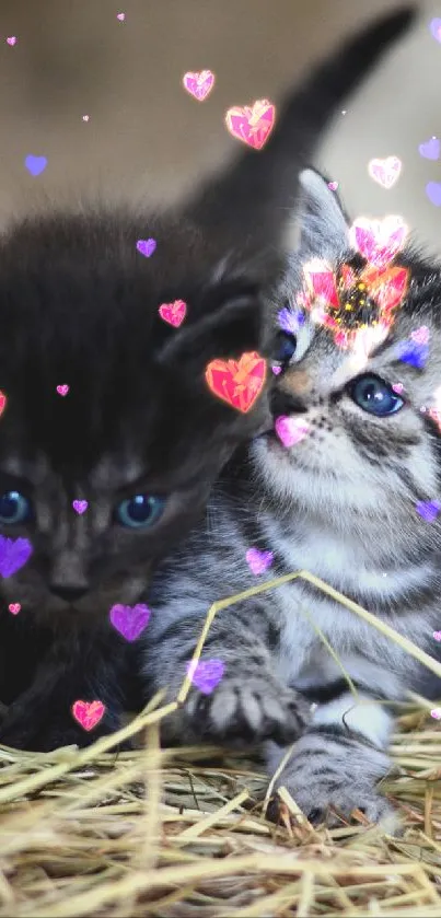 Three adorable kittens playing on hay, perfect for a cute mobile wallpaper.