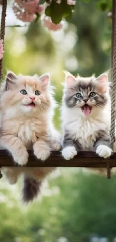 Two fluffy kittens on a swing surrounded by nature.