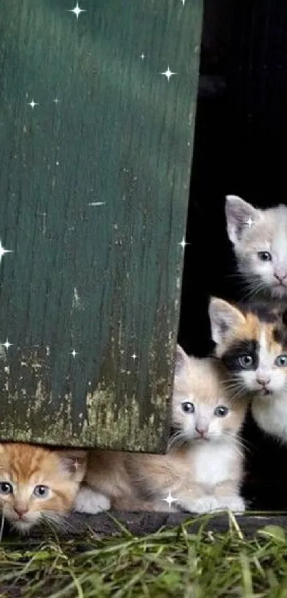 Four kittens peeking from a rustic green door, offering a cute and cozy vibe.