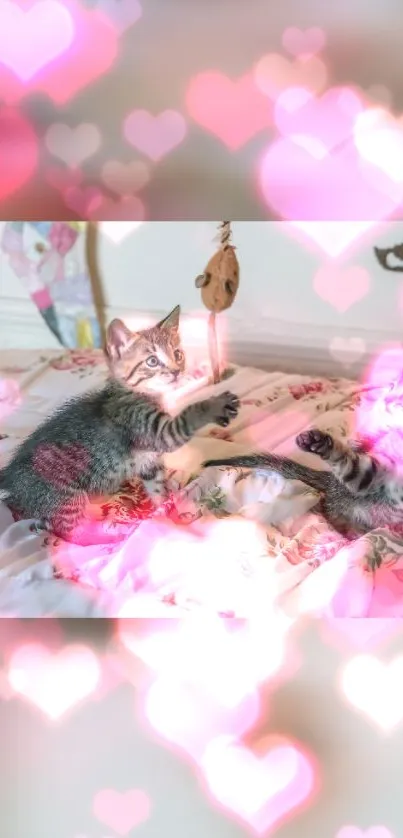 Cute kittens with pink heart bokeh background.