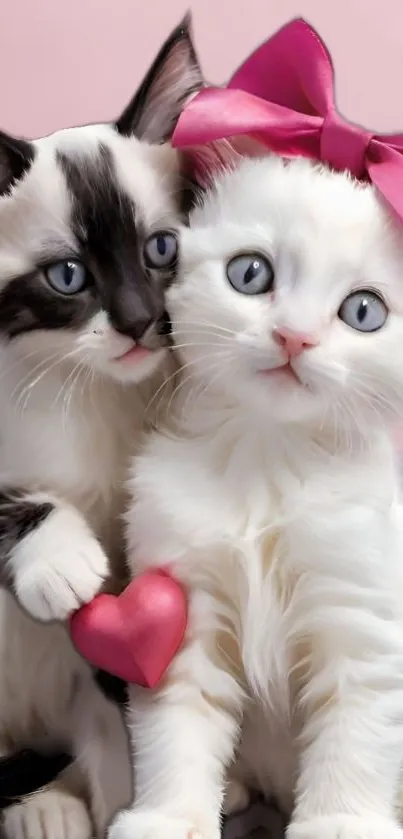 Two fluffy kittens with pink bow and red heart.