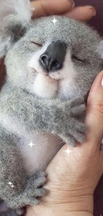 Sleeping koala cradled in gentle hands, cozy and adorable.