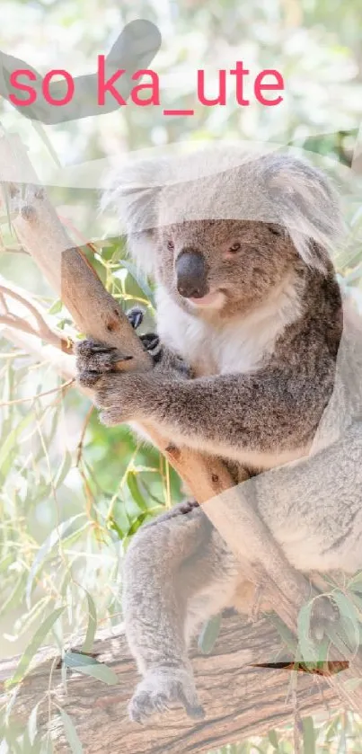 Cute koala sitting on a branch amidst green leaves, perfect for phone wallpaper.