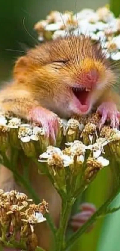 Adorable mouse nestled among flowers, smiling.