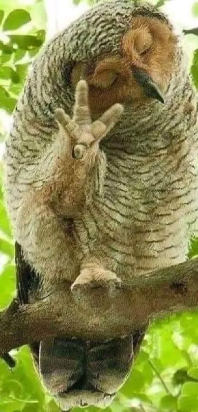 Adorable owl perched on a branch amid vibrant green leaves.