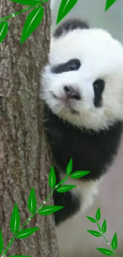 Panda climbing tree with bamboo background.