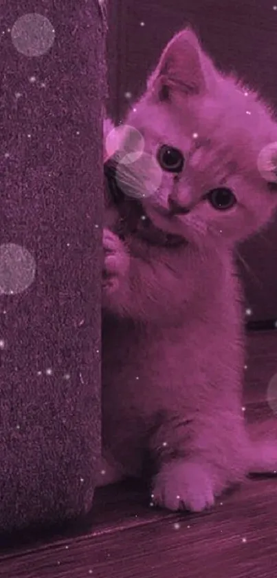 Cute pink kitten peeking from behind a couch in cozy wallpaper.