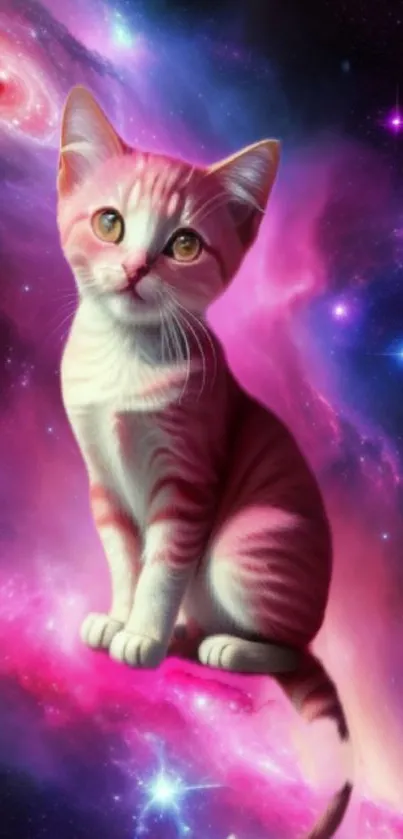 Adorable pink kitten sitting in a galaxy.