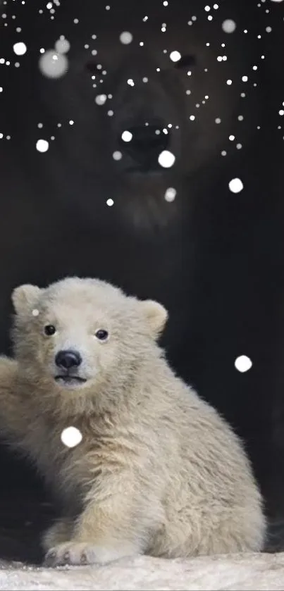 Cute polar bear cub emerging from a dark cave.