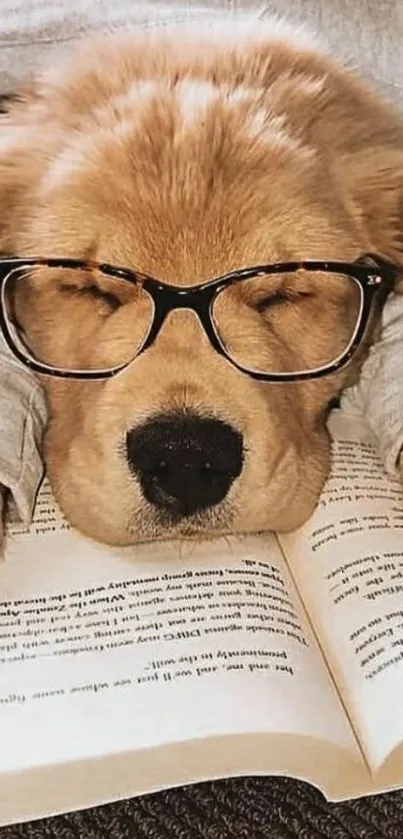 Cute dog with glasses resting on a book.