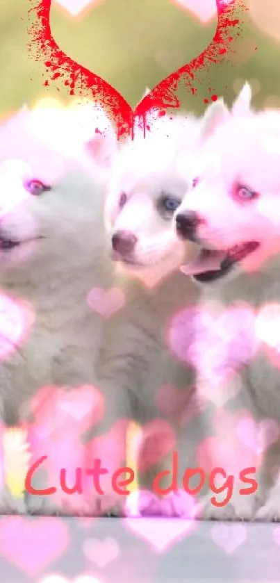 Three fluffy white puppies with a red heart.