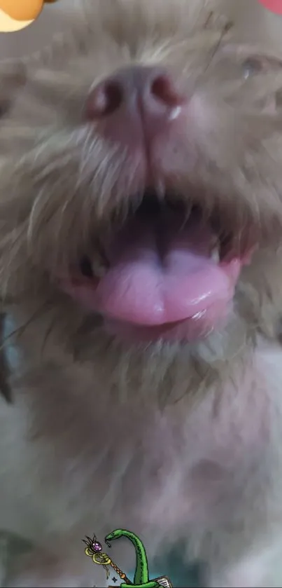 Close-up of an adorable fluffy puppy with an excited expression.