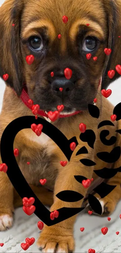 Adorable brown puppy with heart themed design.