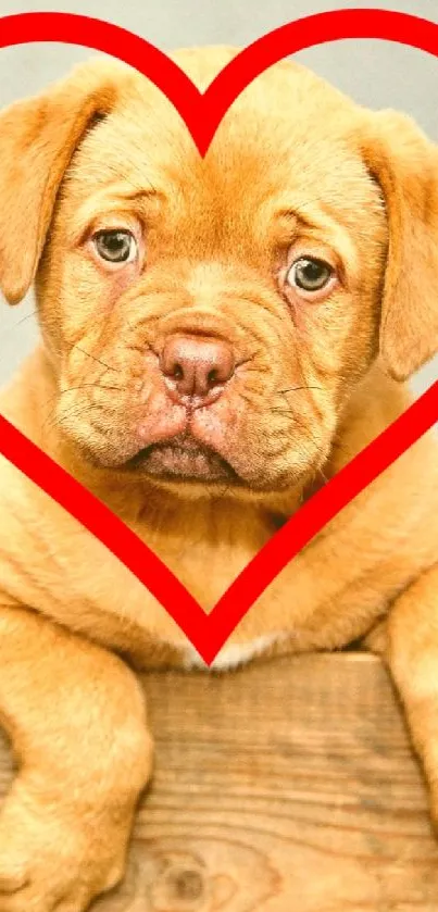 Cute puppy in heart frame, perfect for mobile wallpaper.