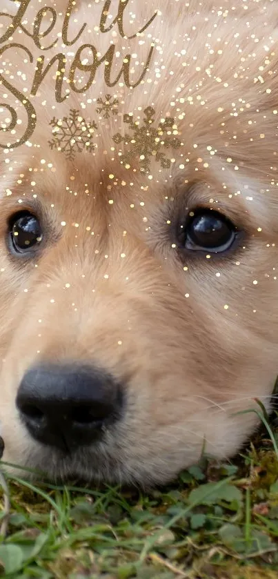 Adorable puppy with festive snowflakes and golden sparkles.