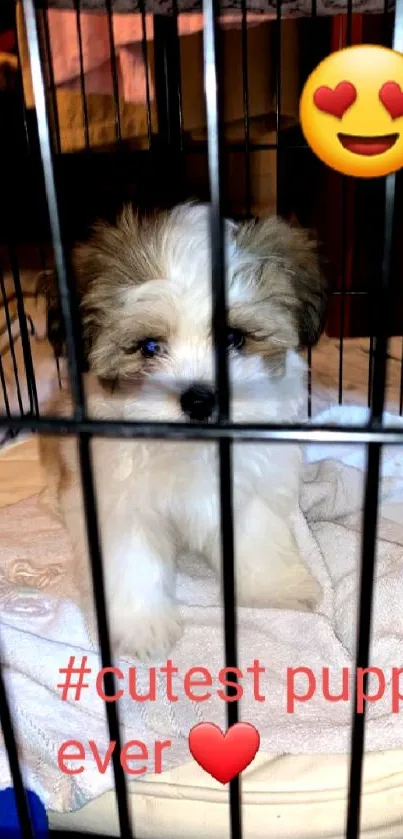 Adorable puppy sits in cozy crate with heart emoji.