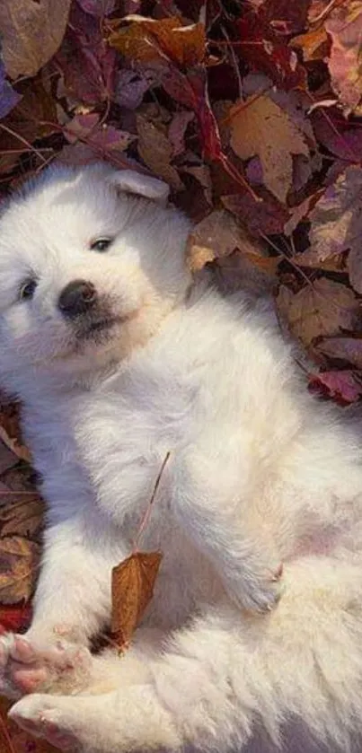 Fluffy white puppy laying in autumn leaves, perfect for a cozy mobile wallpaper.