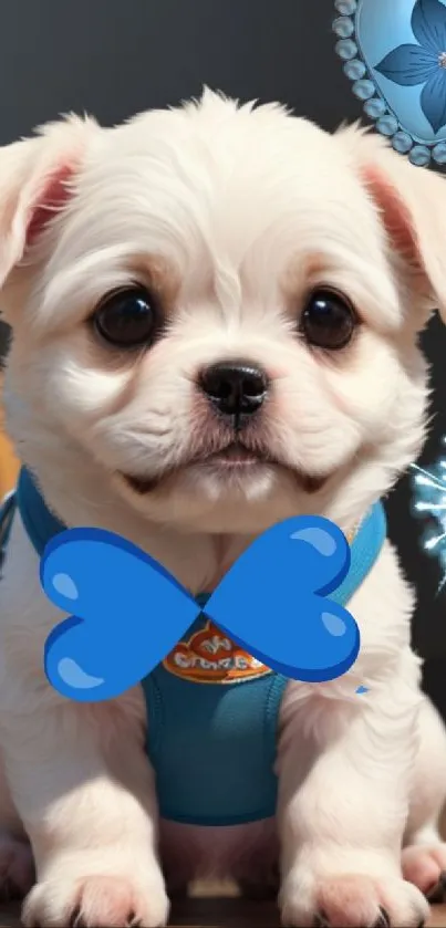 Adorable white puppy with blue vest mobile wallpaper.