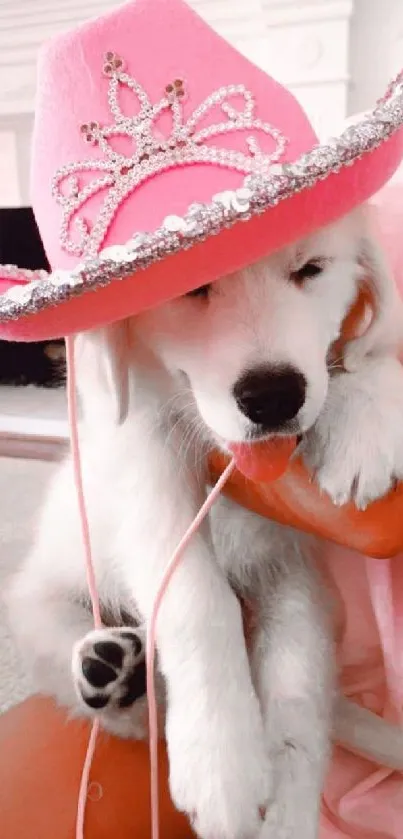 Adorable puppy in pink sparkling hat resting.