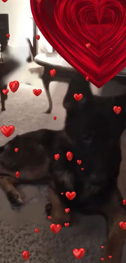 Adorable puppy with red hearts wallpaper.